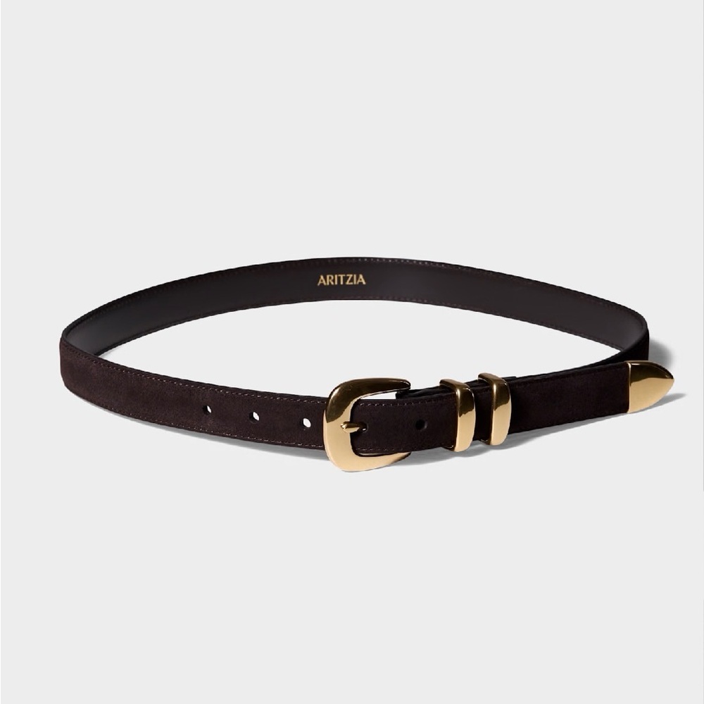 Aritzia Dark Brown Suede Belt with Gold